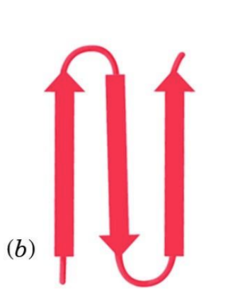 <ul><li><p>super secondary structure</p></li><li><p>2 anti parallel beta</p></li><li><p>fold in on each other to produce hairpin turns</p></li><li><p>stabilized by H bonds</p></li></ul><p></p>