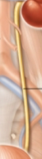<p>what is this?</p>