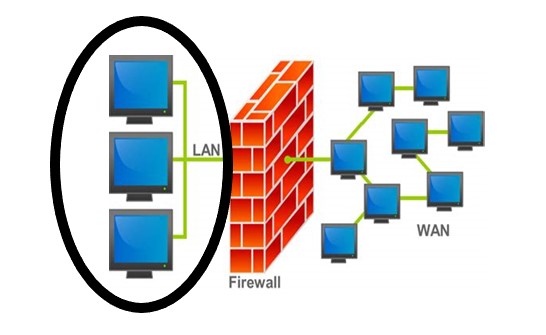You are performing a penetration test of a local area network (LAN). Refer to the circled area on the network diagram. network. Which of the following types of penetration tests is being performed?