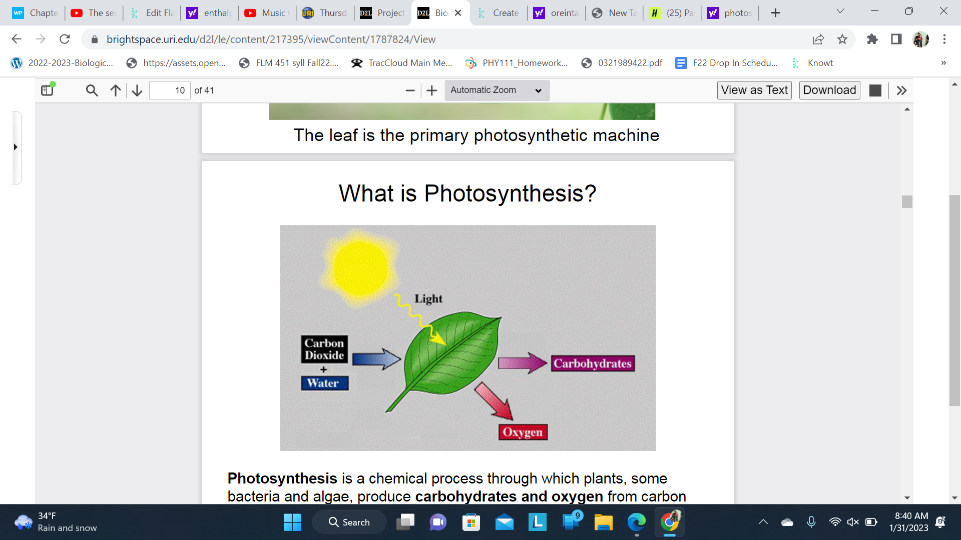 a chemical process through which plants, some bacteria and algae, produce carbohydrates and oxygen from carbon dioxide and water, using light as a source of energy.