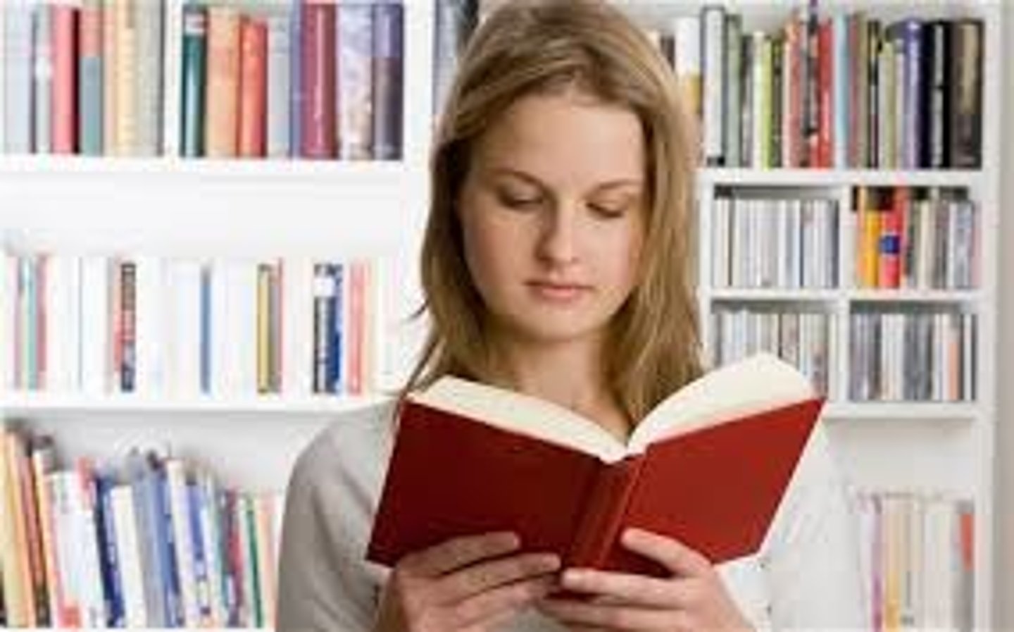 <p>read read read</p>