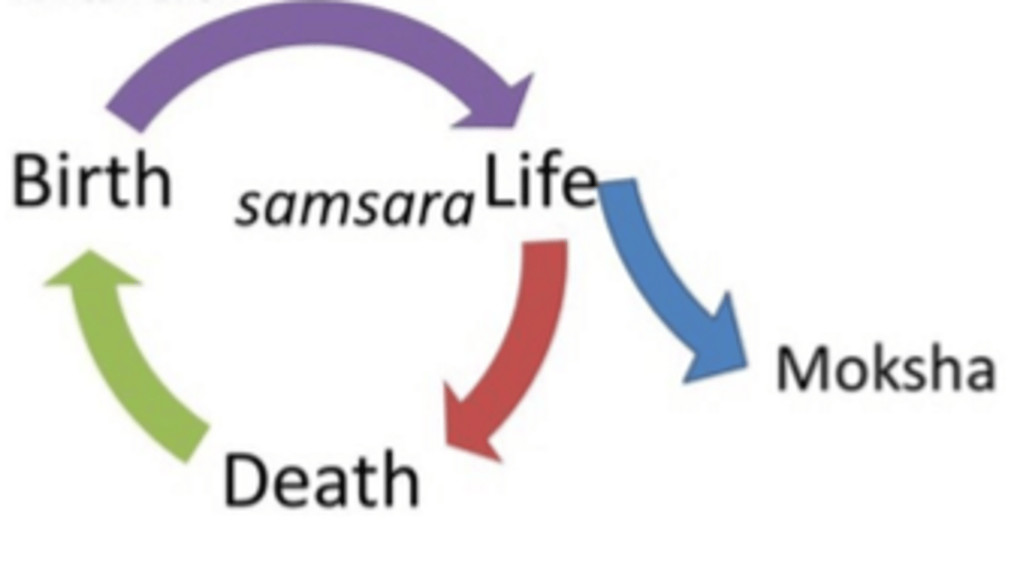 <p>Reincarnation; a cycle of repeated lives.</p>