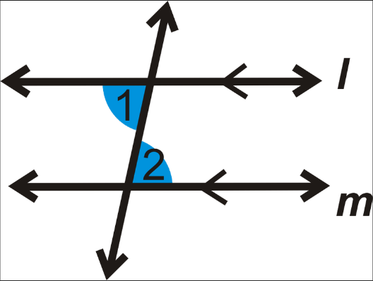 <p>Angles are equal (the same).</p>