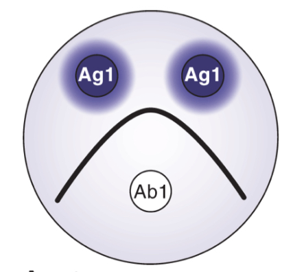 <p>Determine result</p>