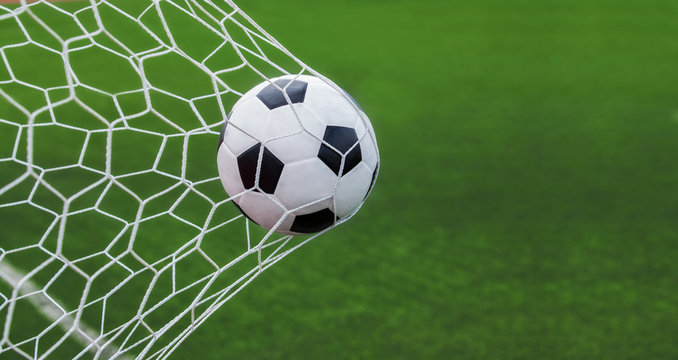 <p>Je <strong><em>____</em></strong> au soccer.</p>