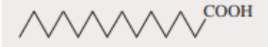 <p>Myristic acid</p>
