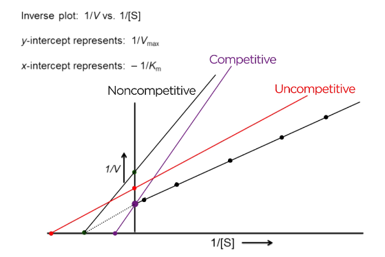 <p>V max decreases = y-intercept goes further from zero</p><p>Km decreases = x-intercept goes further from zero</p>