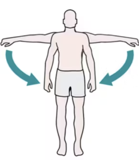 <p>What type of joint movement is this?</p>