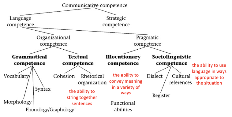 <p><strong><span>______________: </span>There is more to language learning than phonetics/phonology, morphology, syntax, and semantics.</strong></p>