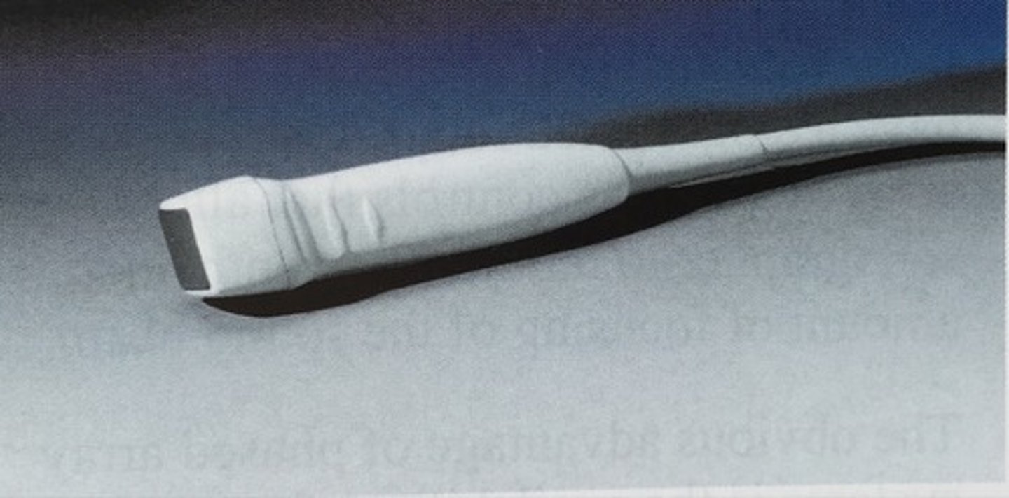 <p>- Houses a vibrating piezoelectric crystal and converts electrical energy into ultrasonic or acoustic energy</p><p>- The vibration of the crystal generates sound waves which are transmitted to a small volume of tissue</p><p>- This causes molecules within the tissue to move</p>