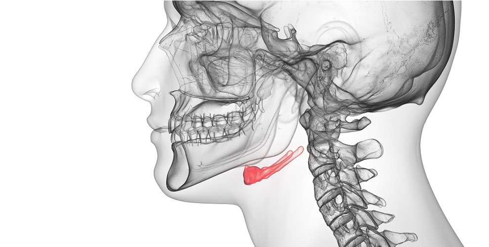 <p>Name this bone.</p>