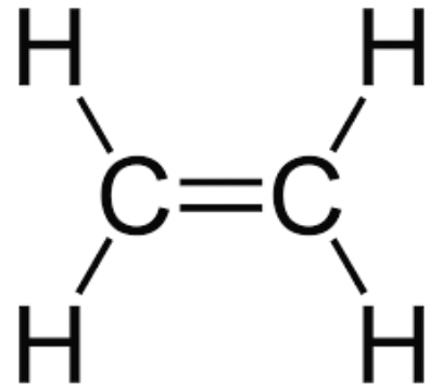 <p>Alkene</p><p>Hydrocarbon</p><p>-ene</p><p>e.g. ethene</p>