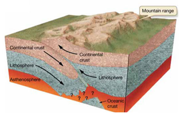 <ul><li><p>subduction ceases</p></li><li><p>collision generates tall mountain chains </p></li></ul><p></p>