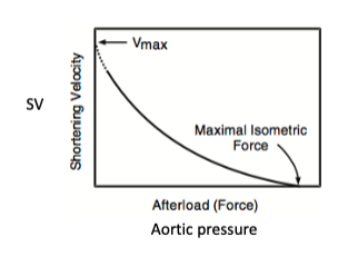 <p>afterload</p>