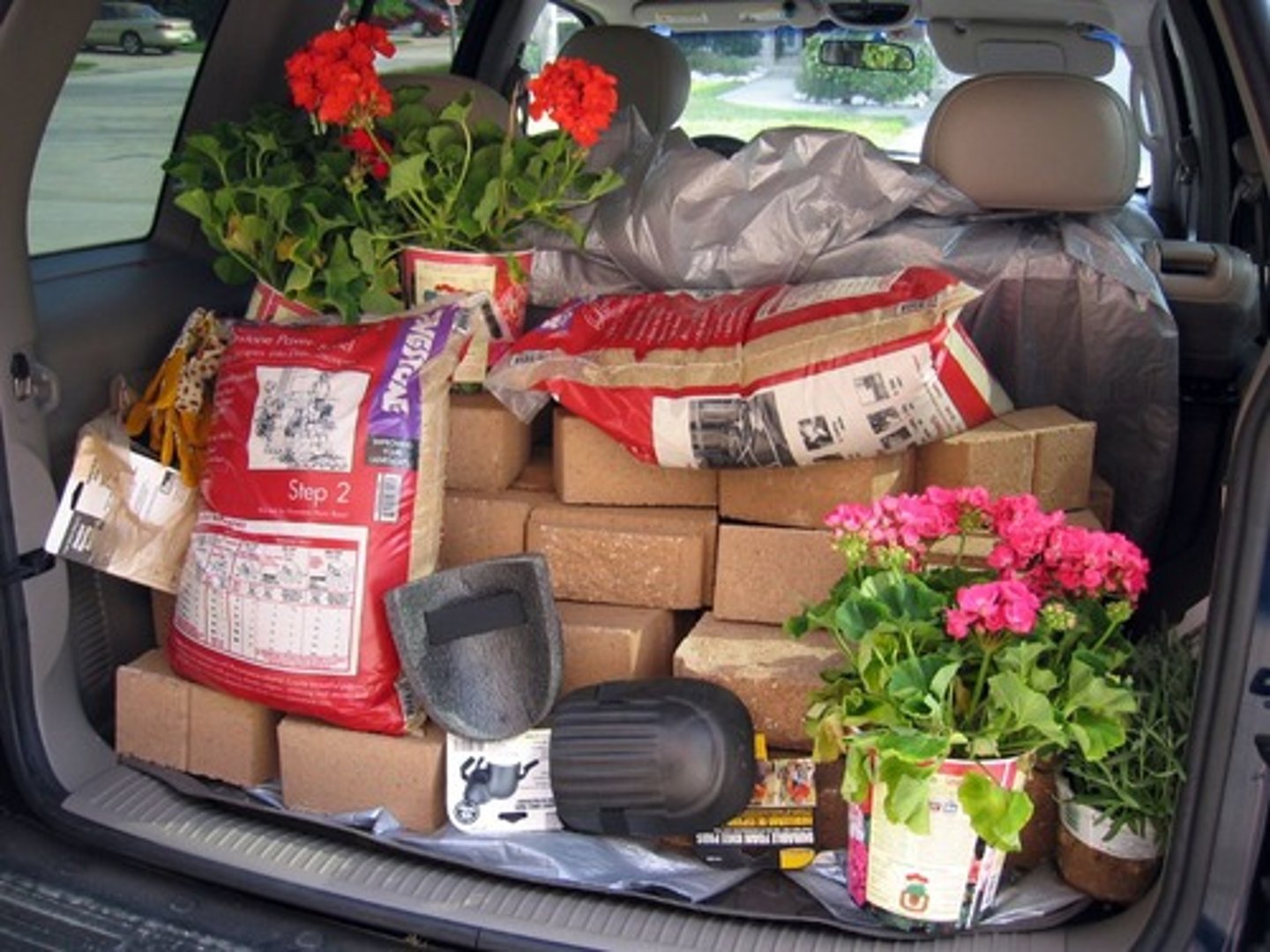 <p>(v) cung cấp</p>