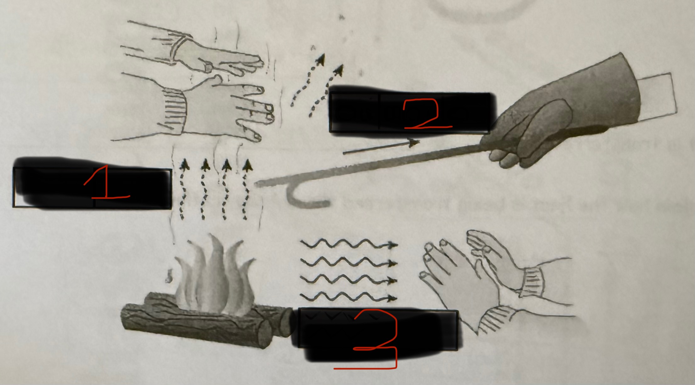 <p>Label each type of heat transfer in the image below.</p>