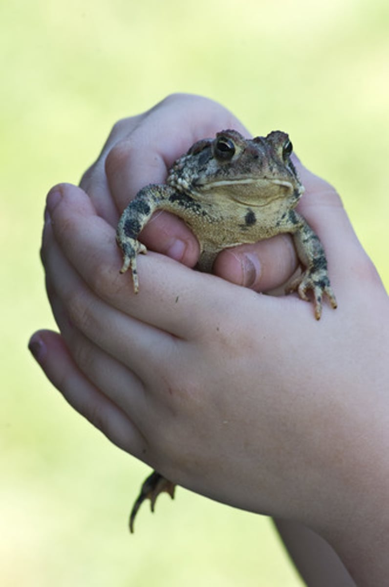 <p>To take into one's possession or control by force.</p><p>захоплювати, брати в полон</p><p>The Visigoths ___________d and looted Rome in 410 AD.</p><p>The army managed to ___________ the enemy's fortress.</p><p>The police worked hard to ___________ the escaped prisoner.</p>