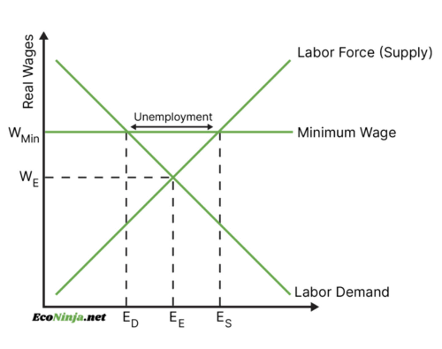 <p>Minimum wages are above the equilibrium of actual wages (because why else would a minimum wage level be needed).</p><p>This set wage means the demand for labor is at ED while the supply of labor is at Eₛ, because more people will be willing to work at these wages than there are firms willing to pay that much.</p><p>This disparity creates a gap in employment (E), meaning unemployment.</p><p>By abolishing minimum wages, equilibrium will go to Wₑ and Eₑ, closing this unemployment.</p>
