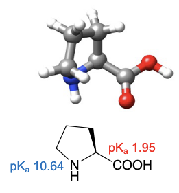 <ul><li><p>abbreviations: Pro, P </p></li><li><p>only amino acid that makes a tertiary amide linkage due to the single hydrogen on linkage point</p></li><li><p>cyclic secondary amino acid, which is unique among the 20 standard amino acids</p></li><li><p>cyclic nature of pyrrolidine side chain provides conformational constraints in 3D space</p></li></ul><p></p>