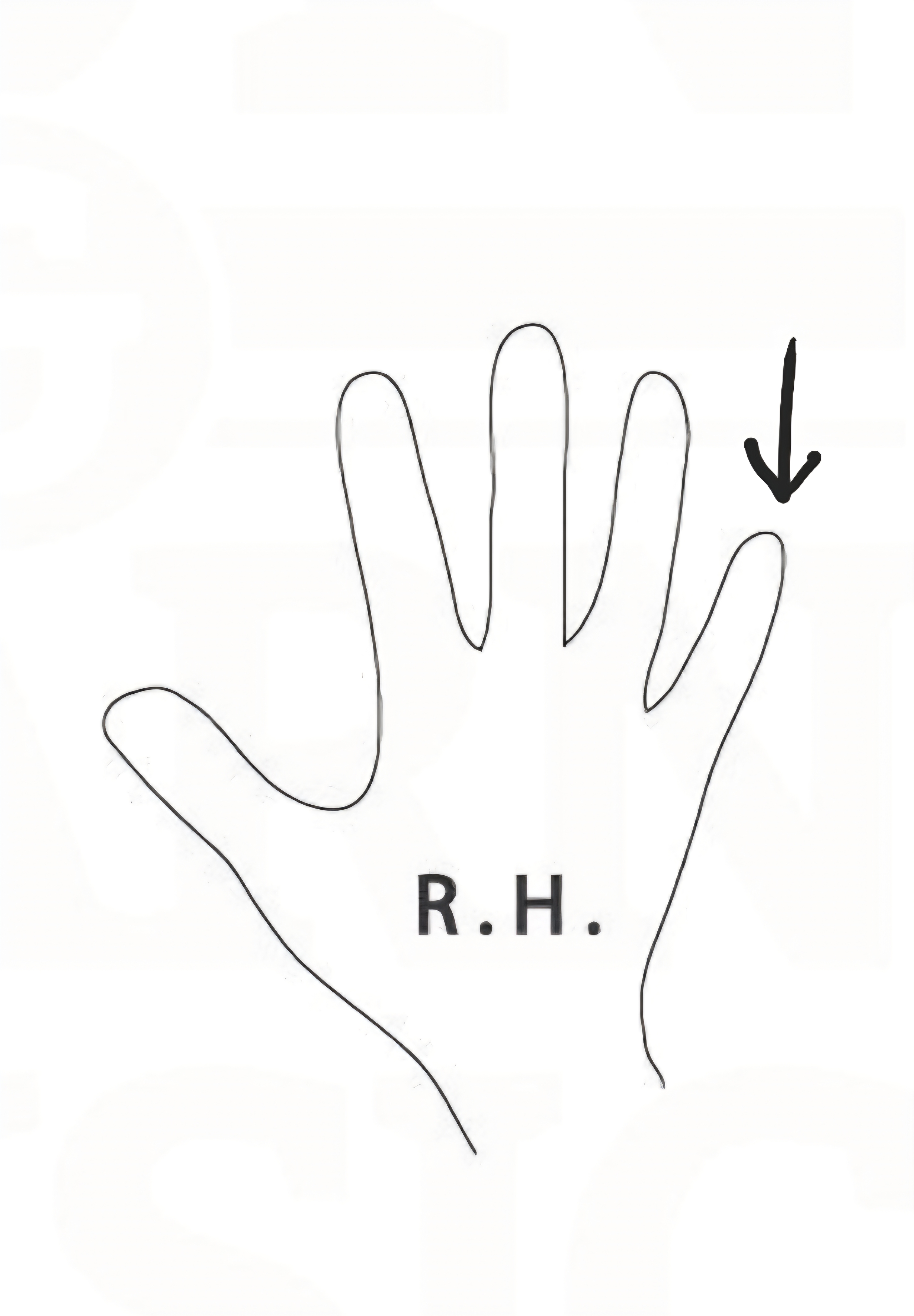 <p>Name the finger number</p>