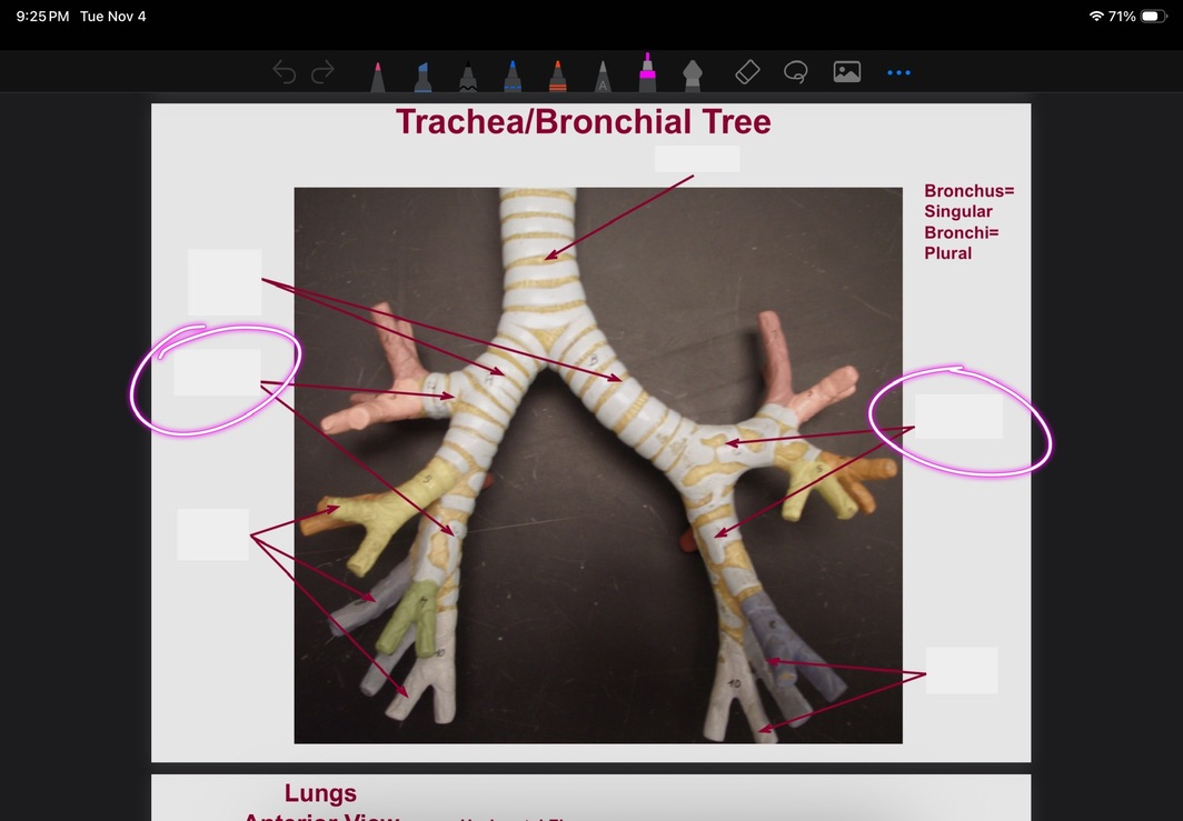 <p>What is this?</p>