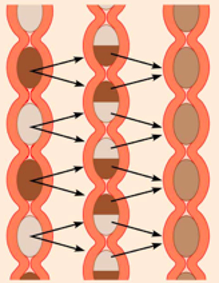 <p>- Nonadjacent segments of GI tract organs alternately contract + relax<br>- Moves food forward then backward to aid mechanical breakdown (food mixing and slow food propulsion occur)<br>- Occurs in the small intestine</p>