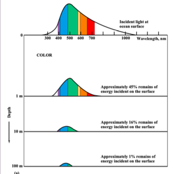 <p>light and sound in water:</p><p>electromagnetic radiation is __ absorbed by water (does not travel through water)</p><p>long frequency __ waves travel __ of meters in water</p><p>__ light travels 10-__s meters, depending on frequency, __, and __</p>