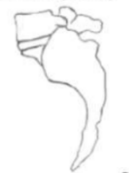<p>identify grade</p>
