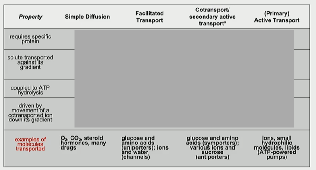 <p>Fill in the table</p>