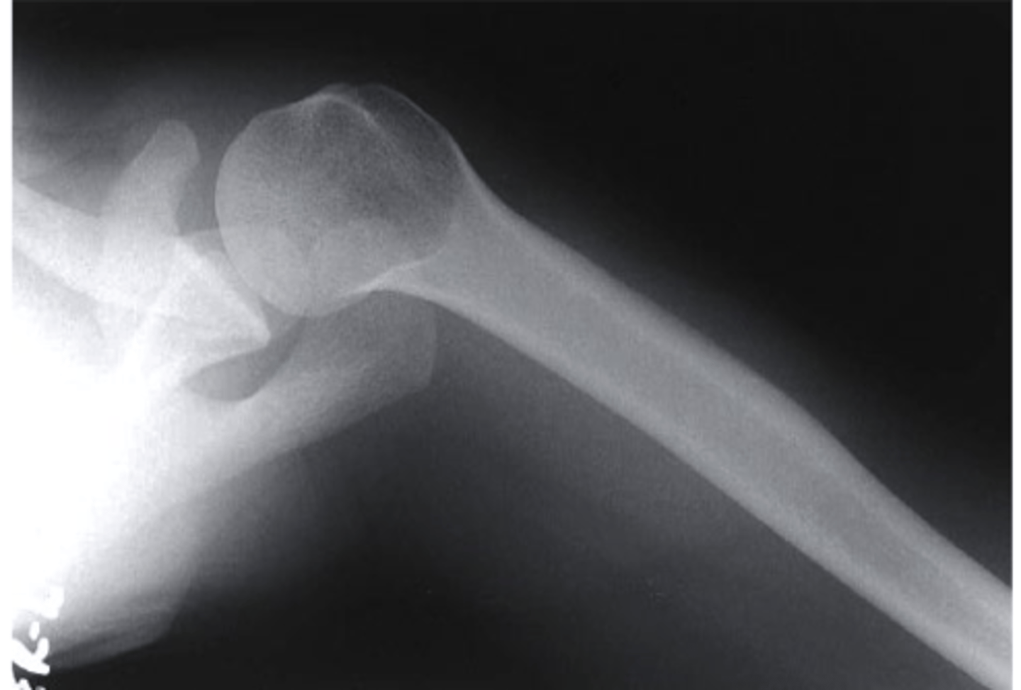 <p>what view is this?</p>