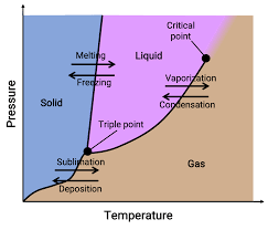 <p>graph that shows the phases of a substance under different conditions of pressure and temperature</p>