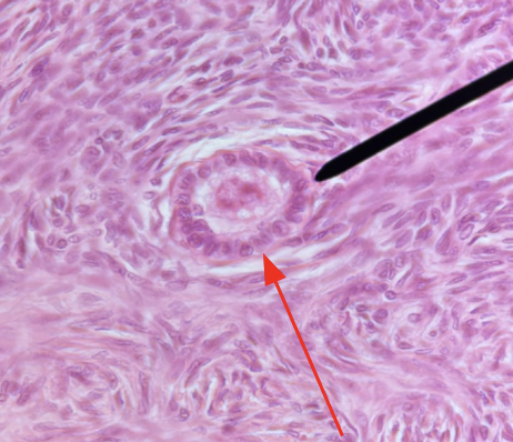 <p>(the things that surround it)</p>