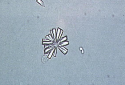 <p>What is this?</p>