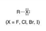 <p><span><span>functional group: -X</span></span><br><span><span>(halo group)</span></span></p>