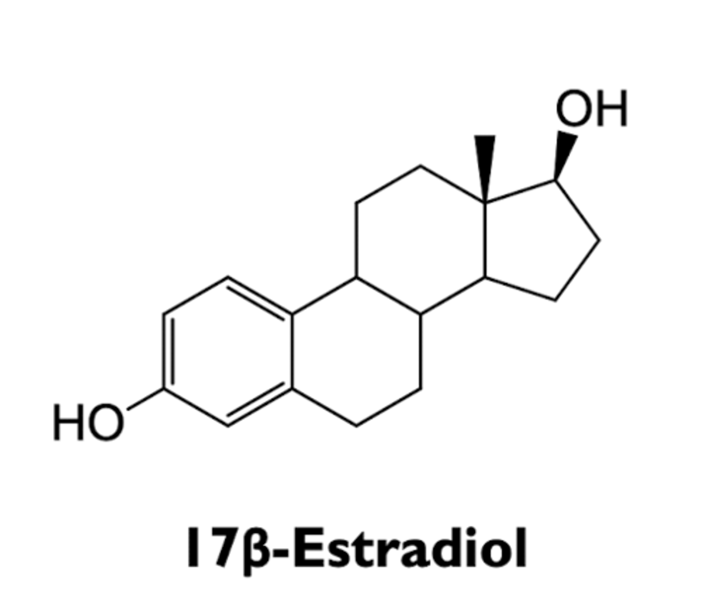 <p>- development and maintenance of female reproductive tissues (ovaries, uterus, breast, vagina)</p><p>- regulation in CNS (temperature, mood)</p><p>- effects in peripheral tissues (bone, cardiovascular, liver)</p>