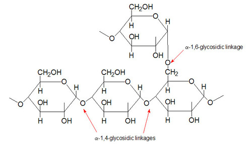 Glucose 
Simple sugar
Monosaccharide