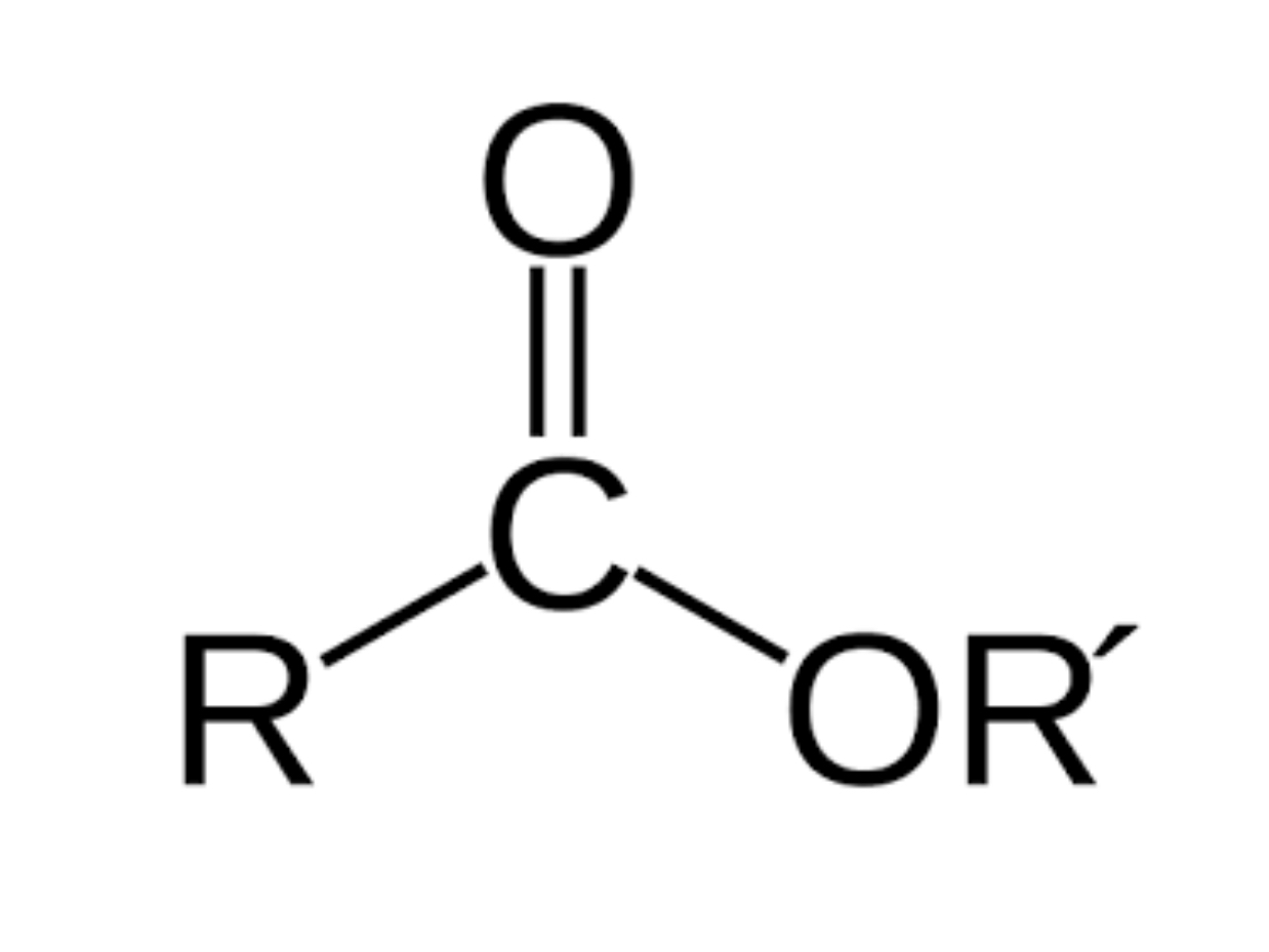 <p>R— COOR</p>