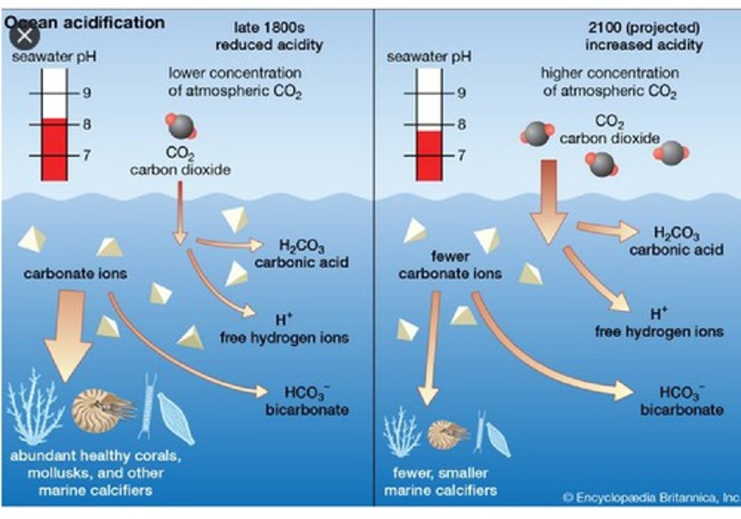 <p>Greenhouse gases trap outgoing heat and warm Earth's surface.</p>