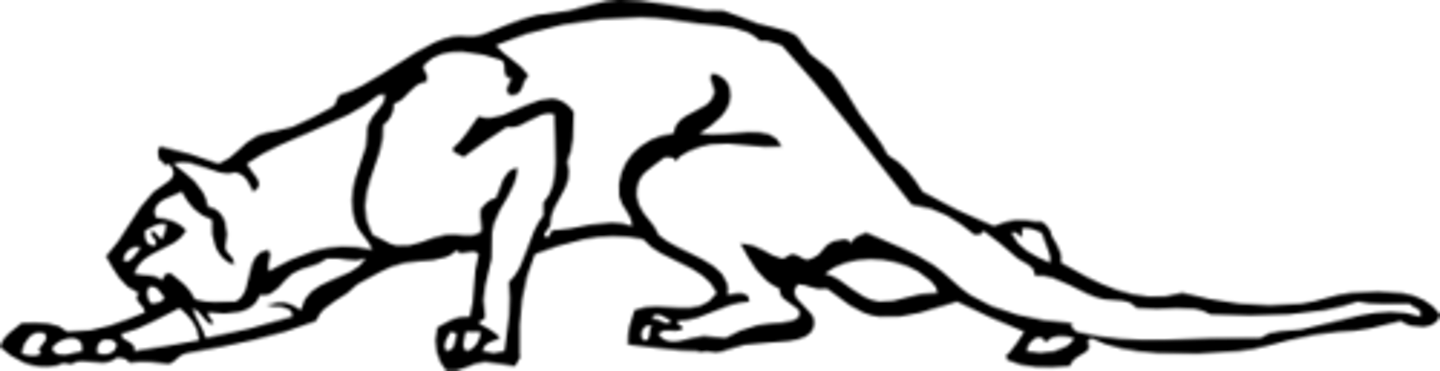 <p>(v) to move slowly so as to avoid detection</p>