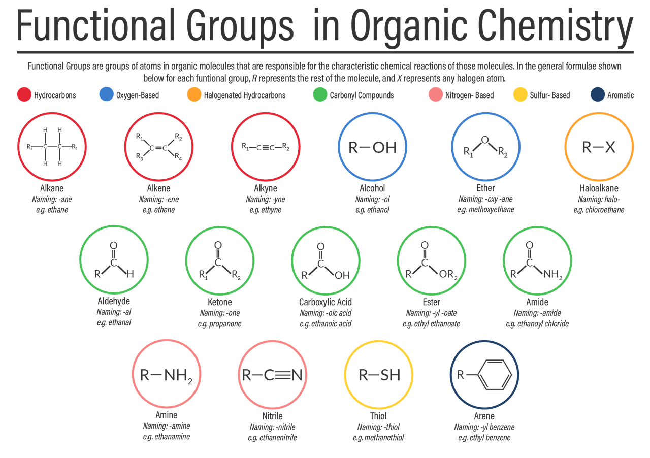 <p>different elements which can be attached to any of the carbons in an organic molecule </p><p></p>