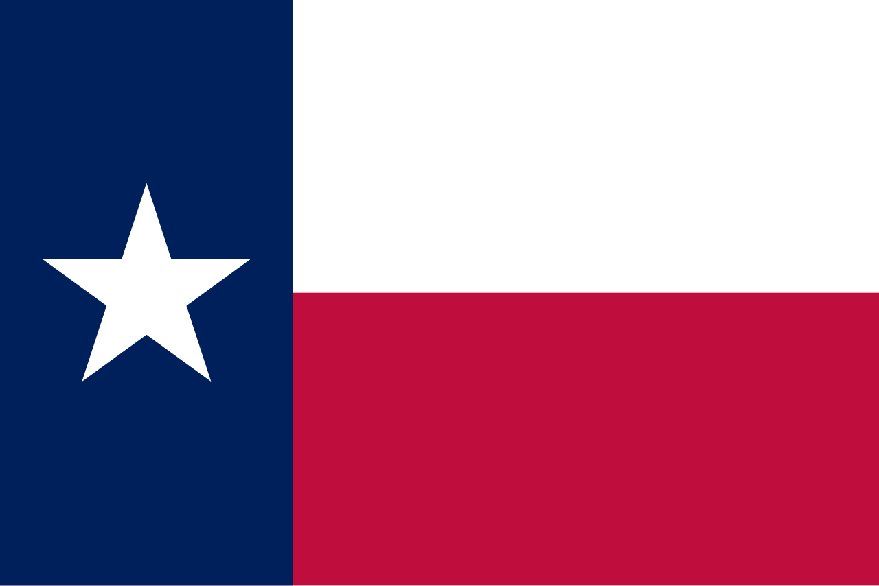 <p>Red white rectangles, blue vertical rectangle with a lone star.</p>