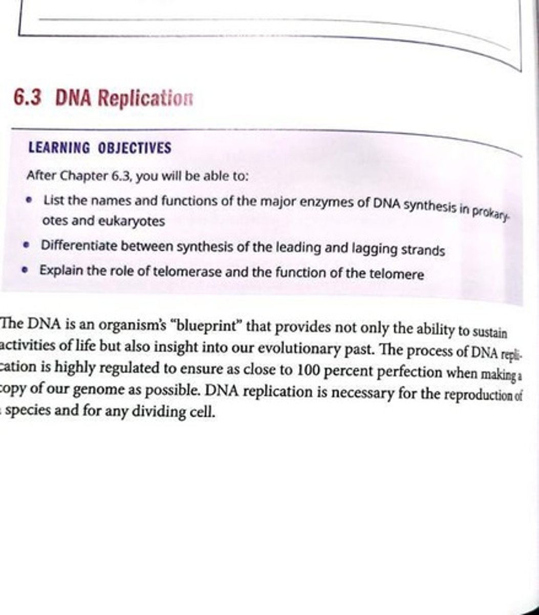<p>Process of copying DNA for cell division.</p>