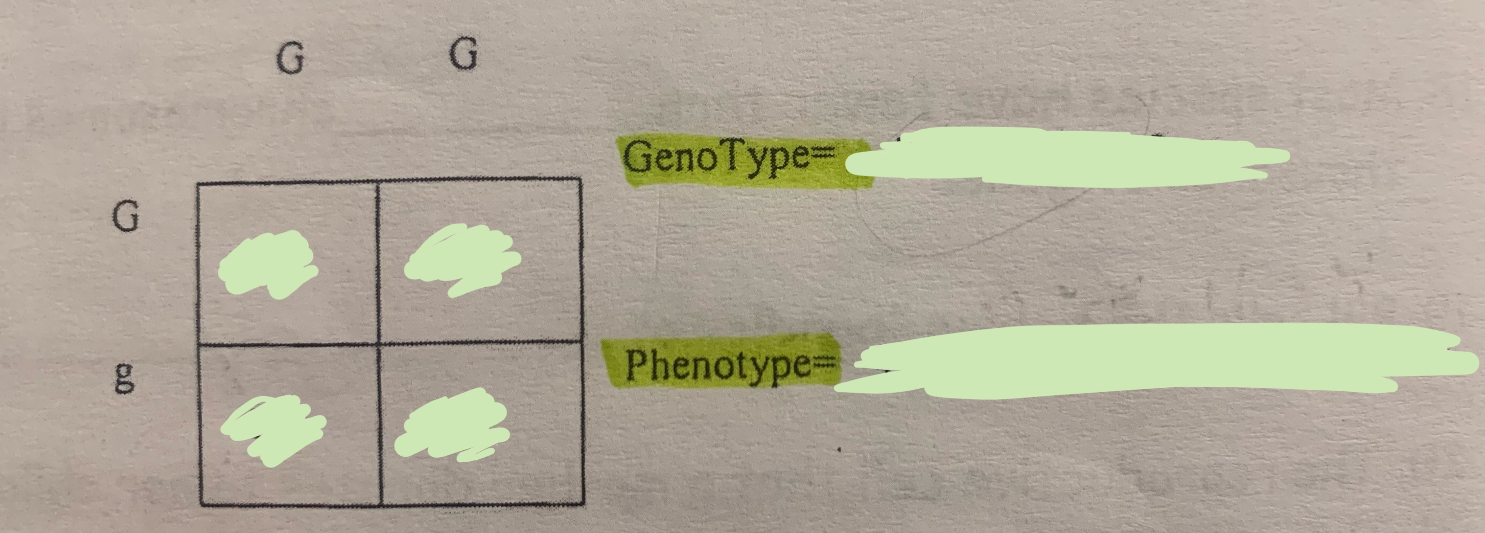 <p><span style="font-family: &quot;Times New Roman&quot;, serif"><strong>Punnett square</strong></span></p>