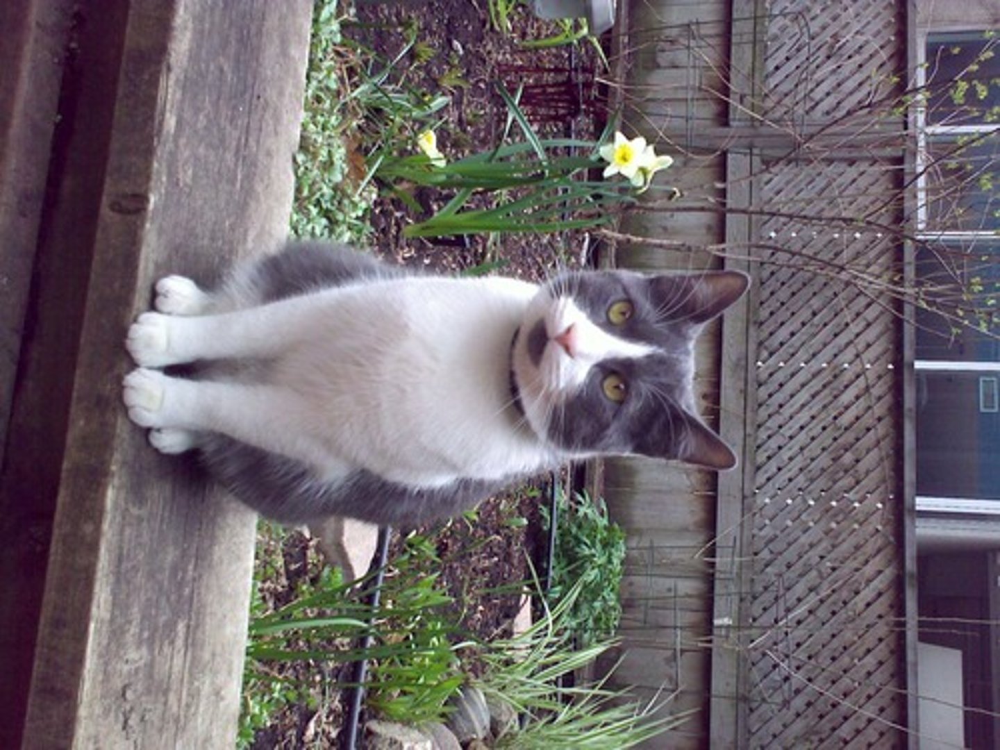 <p>well-behaved</p>
