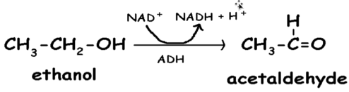 <p>what reaction does this figure display</p>