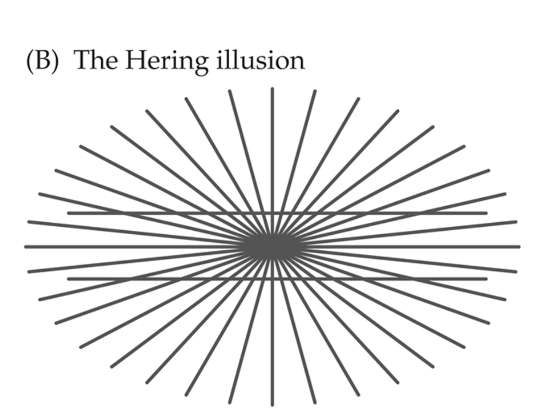 linear perspective makes it look like lines bent but they are parallel