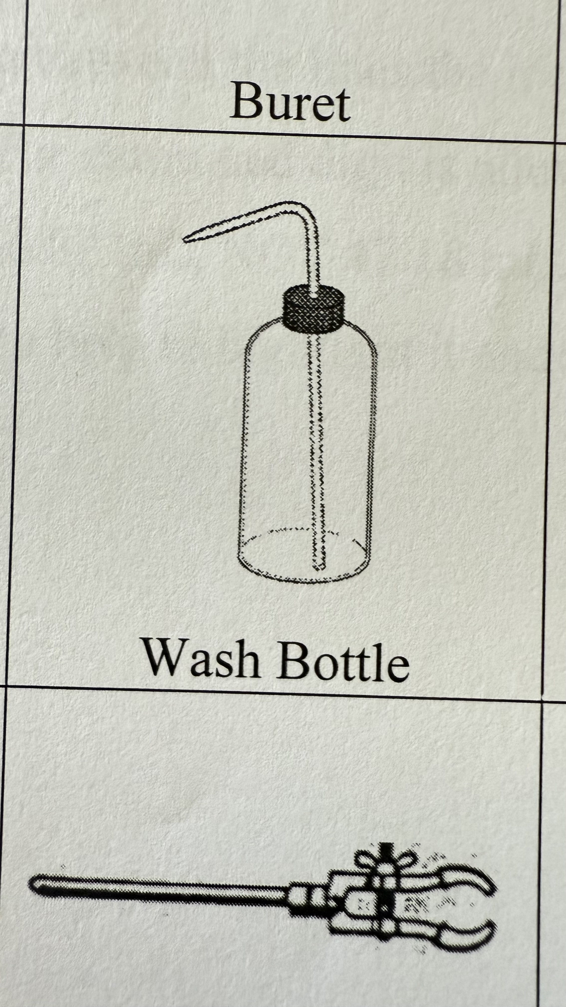 <p>Wash Bottle</p>