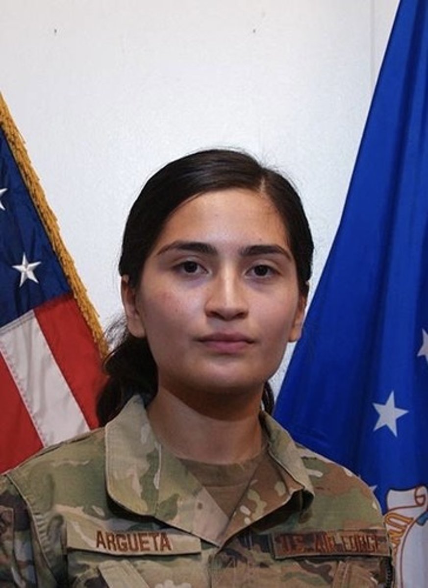 <p>Wing Commander</p>