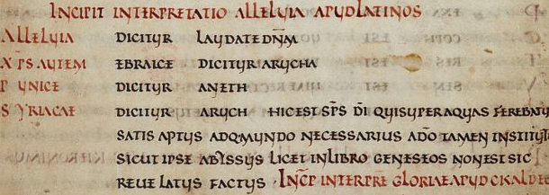 <ul><li><p>majuscule, thin square aspect </p></li><li><p>L M N have a slight curve to their straight lines </p></li><li><p>M N U have a descender curving towards the letter below the baseline </p></li></ul><p></p>