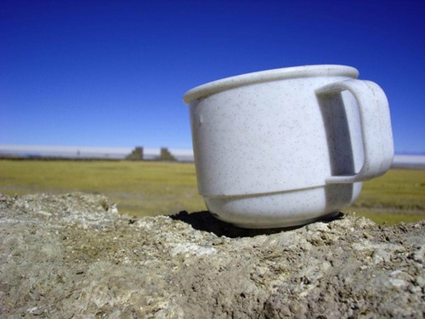 <p>cup/mug</p>